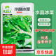 水晶冰菜種子陽(yáng)臺盆栽蔬菜種子大全四季冰草苗秧秋冬種植青菜種孑 水晶冰菜（3包約1500粒）