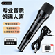 山水（SANSUI）YX-07 有線(xiàn)話(huà)筒麥克風(fēng) 會(huì )議演講專(zhuān)用動(dòng)圈麥家庭KTV演唱卡拉OK