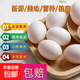 【破損包賠】新鮮農家雜糧鴿子蛋生鮮早餐營(yíng)養非鵪鶉蛋 新鮮鴿子蛋30枚大號蛋20-30克