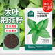 北蔬荊芥種子苗菜籽河南大葉春四季播蔬菜種籽 大葉荊芥種子約1000粒
