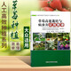 草莓高效栽培與病蟲(chóng)害識別圖譜 草莓病蟲(chóng)害防治技術(shù)種植書(shū)籍大全 育苗管理栽培技術(shù) 大棚草莓種植技術(shù) 現代農業(yè)草莓書(shū)籍 種草莓書(shū) 中國農業(yè)科學(xué)技術(shù)出版社