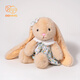 迪卡夢(mèng)（DEKAMO）可愛(ài)淑女裙小兔子玩偶睡覺(jué)抱毛絨玩具垂耳兔公仔安撫娃娃女生禮物 棕色 40厘米（普通包裝）