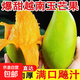新鮮玉芒水果生鮮新鮮熱帶時(shí)令水果青皮大芒果當季采摘整箱包郵 軟糯鮮甜玉芒（單果200g+） 帶箱6斤（凈重5.5斤）單果200g起
