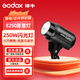 神牛（Godox） 攝影燈200-250W影室閃光燈鞋包服裝人像證件照影室拍攝補光燈影棚拍照燈套裝 E250閃光燈【官方標配】