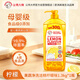 公雞大師檸檬洗潔精1.3KG*1瓶 冷水去油寶寶餐具清潔劑食品用果蔬凈