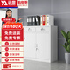 遠奧矮柜文件柜鐵皮柜鋼制儲物柜資料檔案柜財務(wù)辦公柜二斗下節