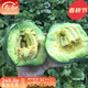 壽禾 冰翡翠小甜瓜種子種甜瓜綠皮綠肉薄皮香瓜早熟種籽 冰翡翠甜瓜種子 50粒x3包