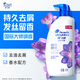 海飛絲香氛洗發(fā)水幽香馥郁450g 洗頭膏去屑止癢控油持久留香 小蒼蘭香調