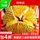京地達新鮮榴蓮正宗泰國金枕頭凈重6.5斤起包4房起帶殼鮮果源頭直發(fā)包郵