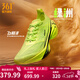 361°男鞋運動(dòng)鞋【飛飚2】專(zhuān)業(yè)馬拉松競速全掌碳板跑步鞋 綠洲 41