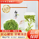 承藝茶葉新茶一級正宗安吉白茶綠茶春茶茗茶100g茶葉自己喝源頭直發(fā)