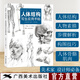 人體結(jié)構(gòu)寫(xiě)生應(yīng)用手帖三澤寬志 女生人體結(jié)構(gòu)造型設(shè)計(jì)手繪素描技法藝用人體結(jié)構(gòu)解剖 動(dòng)漫人物素描速寫(xiě)寫(xiě)生臨摹基礎(chǔ)入門教學(xué)教程書(shū)