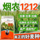 新種國(guó)審原裝高產(chǎn)小麥種子煙農(nóng)1212 原種抗病抗寒抗干熱風(fēng)抗倒 國(guó)審新種煙農(nóng)1212【原裝40斤】可留種