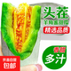 頭茬羊角蜜甜瓜新鮮水果5斤當季脆甜山東蜜瓜時(shí)令整箱羊角脆香瓜 3斤【凈重2.7-2.8斤】 頭茬清甜多汁羊角蜜【壞果包賠】