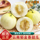 桃西村云南郁金香甜瓜 小蜜罐甜瓜白皮蜜瓜脆甜軟糯白雪小香瓜新鮮水果 4.5斤 精選大果【單果350g+】