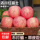 京喜加陜西洛川紅富士蘋(píng)果不打蠟帶皮吃新鮮脆甜多汁水果新鮮采摘包郵 9斤大果【含箱重】?jì)糁?斤