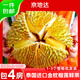 京地達新鮮榴蓮正宗泰國金枕頭凈重8.5斤起包4房1個(gè)果 源頭直發(fā)包郵