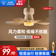 鉆石牌（DIAMOND）新款床上小吊扇靜音充電宿舍風(fēng)扇燈帳篷蚊帳戶(hù)外露營(yíng)小型遙控懸掛電風(fēng)扇ZM 【充電款】3檔風(fēng)速+3檔氛圍燈