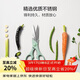樂(lè )扣樂(lè )扣（LOCK&LOCK）彩色多功能廚房剪刀不銹鋼雞骨頭刮魚(yú)鱗輔食烤肉廚具 薄荷綠