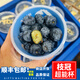 兄盟鮮果當季藍莓合集規格內選 花星莓 枝冠 怡顆藍莓 花蝶香藍梅新鮮水果 枝冠藍莓9罐（共900克）18mm+