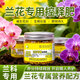 護花匠蘭花肥料專(zhuān)用肥緩釋控釋肥蘭科蝴蝶蘭君子蘭促開(kāi)花有機肥料130克
