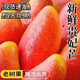 正宗貴妃芒新鮮孕婦兒童水果當季現摘現發(fā)熱帶水果香甜多汁大芒果 5斤首選-單果100-150g凈重4.5斤