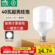 雷士（NVC）LED燈泡球泡節能E27螺口家用商用大功率光源工礦燈40瓦白光6500K