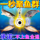 黑科技誘魚(yú)燈水下聚魚(yú)燈集魚(yú)燈超亮海釣夜釣神器聲波自動(dòng)釣魚(yú)神器 1個(gè)【體驗裝】 恒功率全自動(dòng)探魚(yú)器入水就亮