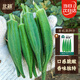 北蔬 秋葵種子苗水果綠秋葵陽(yáng)臺小院冬春四季菜種籽 黃秋葵種子約60粒