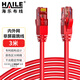 HAILE海樂(lè )內外網(wǎng)轉接專(zhuān)網(wǎng)跳線(xiàn)HT-913A-3M 防雙網(wǎng)防混插防違規3米紅色