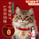 曇蓓漫貓咪項圈寵物長(cháng)命鎖金鎖新年裝飾項鏈圍脖飾品編織平安鎖配飾狗狗 【中國紅】貓咪新年項圈（招財納福） 均碼可調節/范圍23-35cm【舒適不卡脖】 貓咪狗狗通用【建議6-20斤】