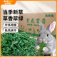 比克熊 苜蓿草1kg兔糧兔子草料烘干紫花幼兔牧草豚鼠磨牙飼料糧草毛重
