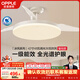 歐普照明（OPPLE）風(fēng)扇燈42寸全光譜1級能效智能控制80瓦 餐廳臥室吊燈 冰風(fēng) 包安裝