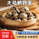 雜糧喂養新鮮鵪鶉蛋現撿現發(fā)無(wú)添加 孕婦寶寶輔食優(yōu)選 生鮮 紅色 120枚大個(gè)    初生精品蛋【一枚12g左右】
