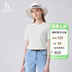 哈吉斯（HAZZYS）女裝 春季女士圓領(lǐng)文藝細條紋T恤衫ASTSE0BBE68