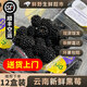 【順豐空運】新鮮黑樹(shù)莓 云南怡顆紅樹(shù)莓鮮果酸莓孕婦營(yíng)養水果 【黑莓】125g*2盒|順豐空運（珍珠棉防撞包裝）