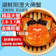 【活蟹】湖鮮陽(yáng)澄大閘蟹全母2.8-3.1兩10只去繩足重過(guò)年年貨節鮮活螃蟹海鮮送禮禮盒裝