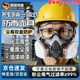 淘盾防毒面罩有害氣體化學(xué)實(shí)驗工業(yè)防毒防塵口罩防甲醛化工噴漆專(zhuān)用防護半面罩 410E面具+20片濾棉