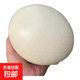 【源頭工廠(chǎng)】新鮮現撿鴕鳥(niǎo)蛋 適合老人孩子婦女 京東快遞源頭直發(fā) 1枚鴕鳥(niǎo)蛋（2-2.4斤）