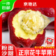 京地達花牛蘋(píng)果甘肅天水花牛蘋(píng)果凈重4.5斤單果250g+源頭直發(fā)包郵