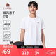 駱駝（CAMEL）運動(dòng)速干T恤透氣寬松戶(hù)外休閑圓領(lǐng)情侶短袖夏季男款，白色XL