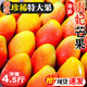 京地達海南貴妃芒果 凈重4.5斤超大果200g+ 肉厚無(wú)絲新鮮水果源頭包郵