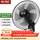 先科（SAST）風(fēng)扇/壁扇/電風(fēng)扇/宿舍餐廳電風(fēng)扇/大風(fēng)力/交流定頻/壁掛式電風(fēng)扇FB-308 
