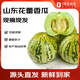趣嘗鮮 山東花蕾香瓜 凈重4.5斤 單果250g起 甜瓜 源頭直發(fā) 一件包郵