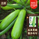北蔬 西葫蘆種子種苗早熟菜瓜角瓜四季盆栽蔬菜種籽 西葫蘆種子20粒