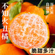 春福樂(lè )四川不知火丑橘柑【源頭直發(fā)】非粑粑柑新鮮柑桔柑橘孕婦水果 9斤精品果【單果70mm+】?jì)?8.5斤