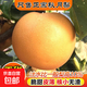 山東正宗秋月梨冰糖無(wú)渣新鮮水果甜梨訪(fǎng)山客 凈重4.5斤+ 7-9個(gè)單果250g+