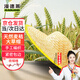 漫德萊草帽大草帽男斗笠帽夏季農用草帽子沙灘戶(hù)外遮陽(yáng)防曬竹編帽42cm