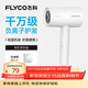 飛科（FLYCO）負離子電吹風(fēng)機家用便攜出游速干冷熱風(fēng)大功率吹風(fēng)筒FH6276