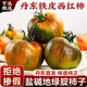 亨迅丹東鐵皮西紅柿子鹽堿地番茄綠腚油草莓柿子茄果瓜新鮮蔬菜 凈重 2斤 精選裝